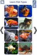 Fish Types | Goldfish Saltwate screenshot 6