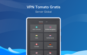 Tomato VPN | VPN Proxy screenshot 1