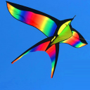 Kite Design