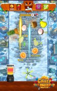 Crazy Juice Fruit Master Games screenshot 2