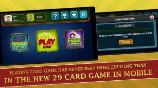 29 Card Game Plus screenshot 2