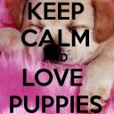 Keep Calm 4 PUPPIES Icon