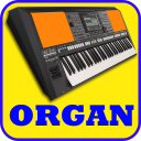 Electronic Organ