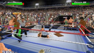 Wrestling Empire screenshot 5