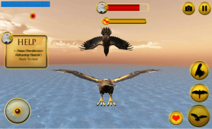 Life of Eagle - Wild Simulator screenshot 8