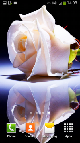 White Rose Live Wallpaper 3 3 Download Android Apk Aptoide