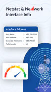 Network Wi-Fi Info & SIM Tools screenshot 4
