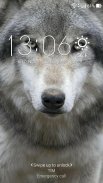 Wolf Wallpaper screenshot 1