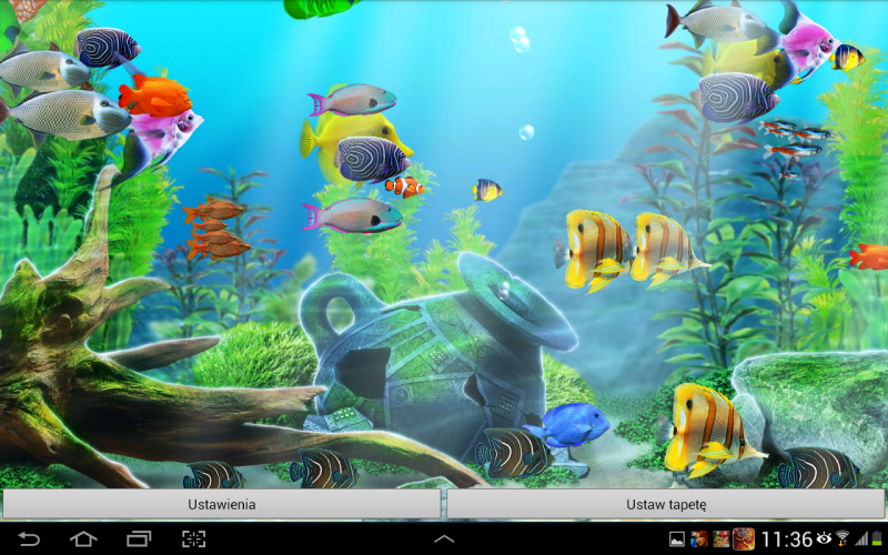 live aquarium wallpaper