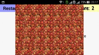 700 Stereograms Quiz screenshot 1