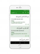 Al Quran Lite Offline 30 Juz Terjemah Indonesia screenshot 0