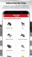 ehorses screenshot 3