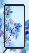 Flowers Wallpapers screenshot 2