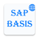 SAP BASIS Admin - Global