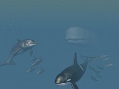 VR Ocean Aquarium 3D screenshot 3