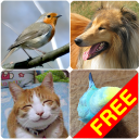 Animal Sounds (Bird,Dog,Cat) Icon