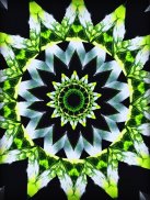 KaleidoSnap: Kaleidoscope Cam screenshot 10