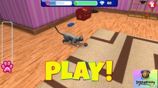 InstaKitty 3D-Virtual Cat Sim screenshot 2