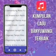 DJ Lagu Banyuwangi Full Bass screenshot 3