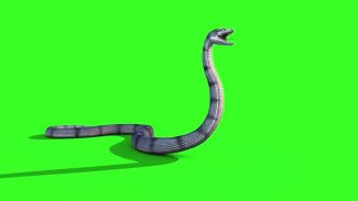 VFX Snakes Effect - Snake Green Screen Videos screenshot 1