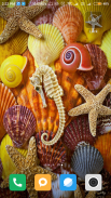 Seashell wallpaper HD screenshot 8