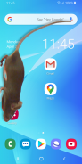 Mouse on Screen Scary Joke screenshot 1