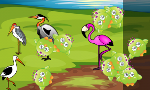 นกที่ เกมสำหรับเด็กที่ ทารก screenshot 6