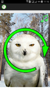 White Owl Spinner Prank screenshot 0