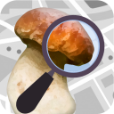 Mushroom Identify (признать гриб) Icon