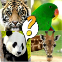 Animal Quiz Game Icon