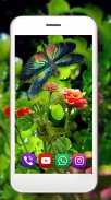 Libélula live wallpaper screenshot 4