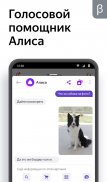 Яндекс (бета) screenshot 5