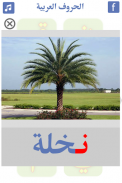 Learn Arabic Alphabet screenshot 4