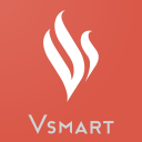 Vsmart Partner Promotion Icon