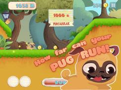 Pug Run screenshot 4