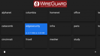 WireGuard screenshot 5