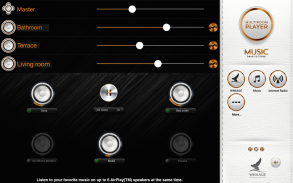 AirPlay Multiroom by WHAALE screenshot 3