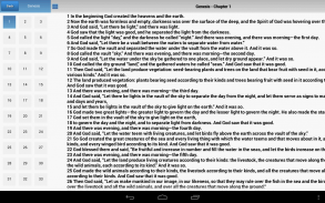 Bible Study The Way screenshot 2
