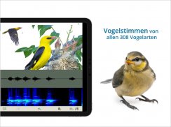 NABU Vogelwelt Vögel Bestimmen screenshot 15