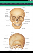 Human Skeleton Reference Guide screenshot 0