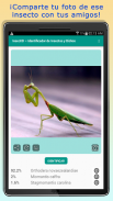 InsectID – Identifica Insectos screenshot 3