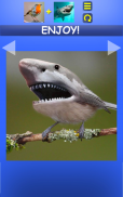 Mix Aminals. Animal morphing screenshot 17