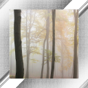 Fog Photo Frames