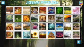 Jigsaw Puzzles+ : HD Collections screenshot 1