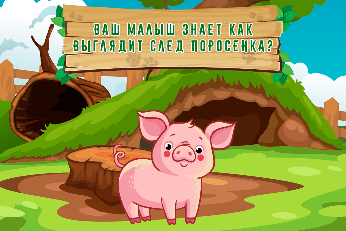 Следы животных. Игра для детей. - Завантажити APK для Android | Aptoide