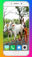 Bullock Cart Wallpaper Full HD screenshot 3