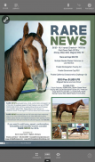 Barrel Horse News Stallion screenshot 2