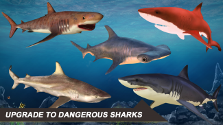 Hungry Shark Simulator - Wild Attack Game 2020 screenshot 0