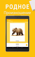 Учите украинский бесплатно с FunEasyLearn screenshot 18