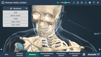 Menselijk lichaam 3D screenshot 1